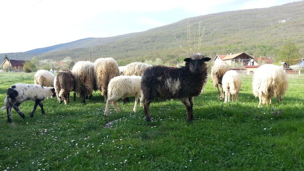 Gacka Valley Licko Lesce Exteriér fotografie