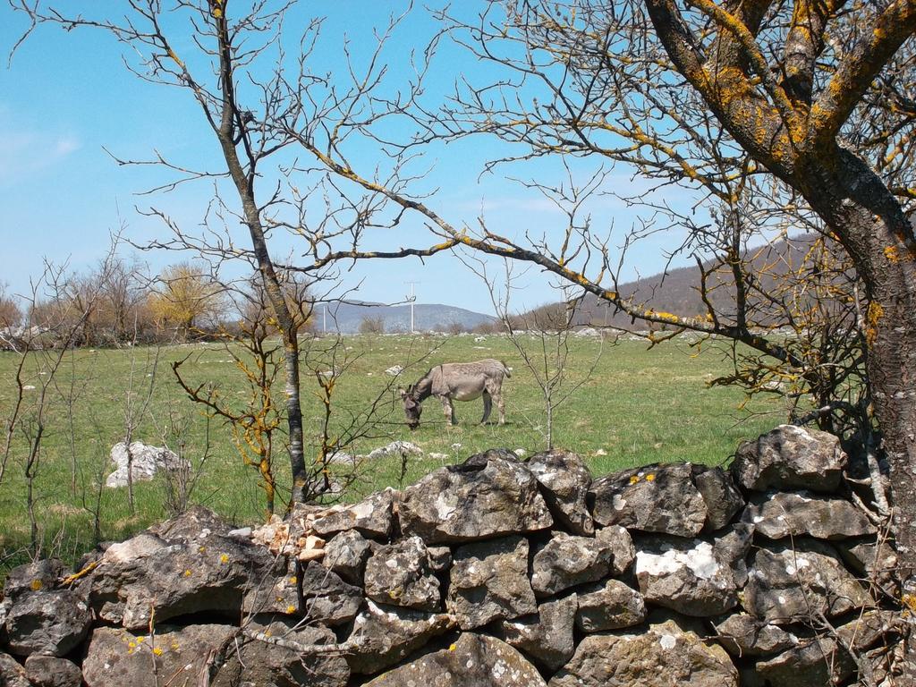 Gacka Valley Licko Lesce Exteriér fotografie